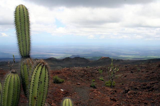 Sierra Negra Parasite Volcano Field