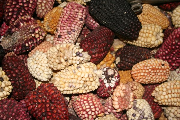 A barrel of corn in a local house, nothing more :)