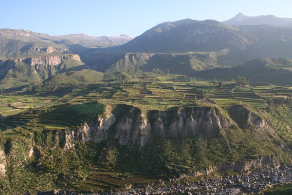 Colca Canyon in all it's glory