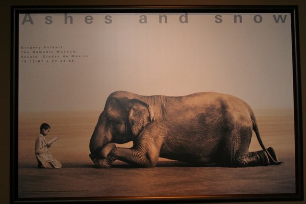 Amazing photos that have to be seen in person