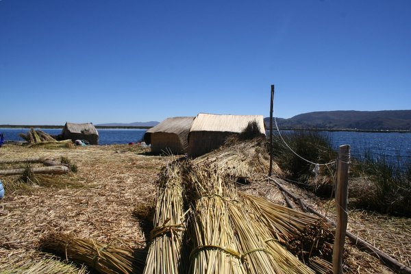 Reeds ready for the next layer